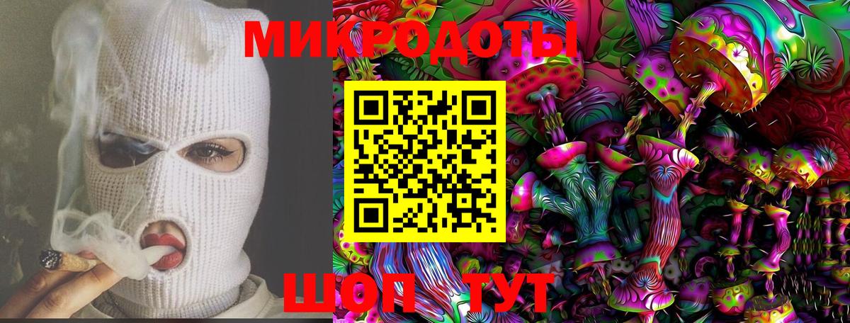 Псилоцибиновые грибы Psilocybine cubensis  Вход с VPN  Каменка 